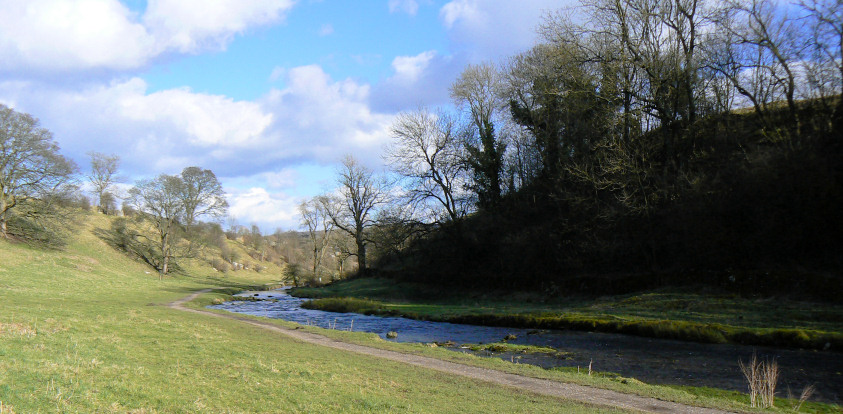 Bradford Dale Bradford Dale
